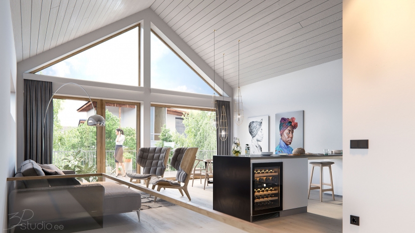 3D, visualiseerimine, 3d visualiseerimine, Peltojyräntie, Finland